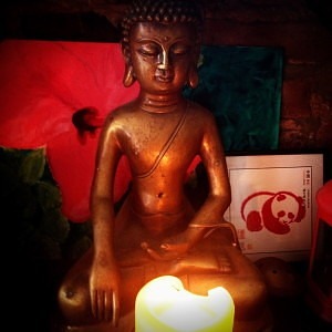 Budda