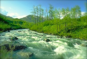 River Flowing in Spring
